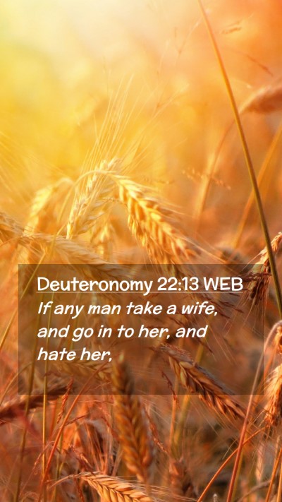 Picture 02 - Deuteronomy 22:13 WEB Mobile Phone Wallpaper - If any man take a wife, and go in to her, and - Mobile Bible Verse Wallpaper