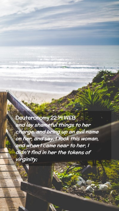 Picture 02 - Deuteronomy 22:14 WEB Mobile Phone Wallpaper - and lay shameful things to her charge, and bring - Mobile Bible Verse Wallpaper