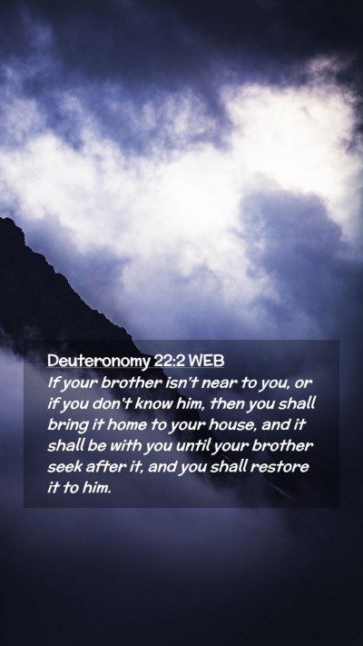 Picture 02 - Deuteronomy 22:2 WEB Mobile Phone Wallpaper - If your brother isn't near to you, or if you - Mobile Bible Verse Wallpaper