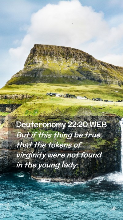 Picture 02 - Deuteronomy 22:20 WEB Mobile Phone Wallpaper - But if this thing be true, that the tokens of - Mobile Bible Verse Wallpaper