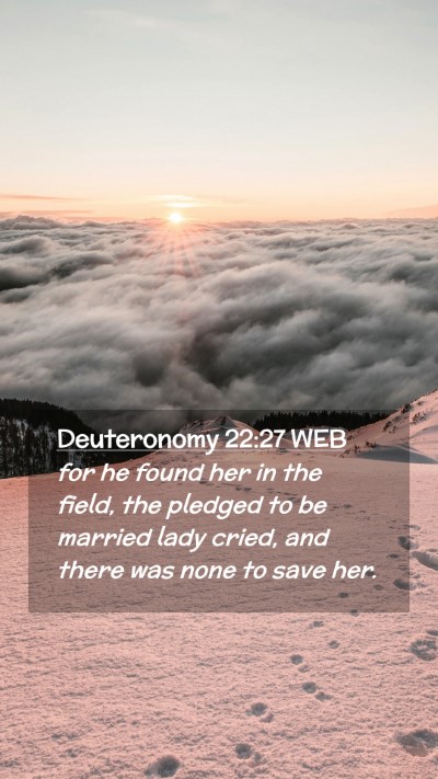 Picture 02 - Deuteronomy 22:27 WEB Mobile Phone Wallpaper - for he found her in the field, the pledged to be - Mobile Bible Verse Wallpaper
