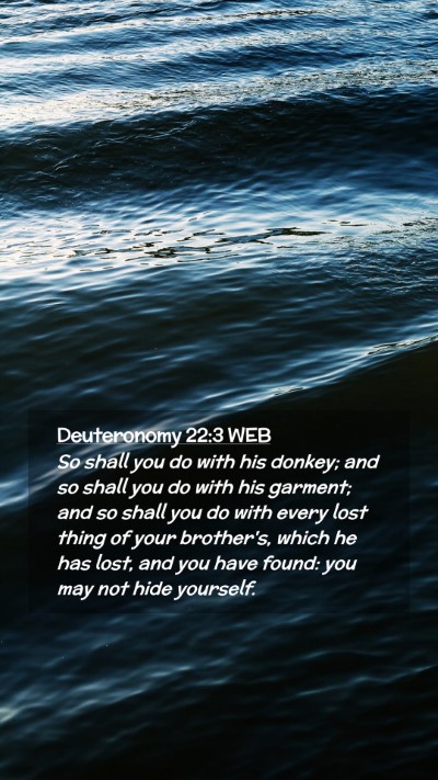 Picture 02 - Deuteronomy 22:3 WEB Mobile Phone Wallpaper - So shall you do with his donkey; and so shall you - Mobile Bible Verse Wallpaper