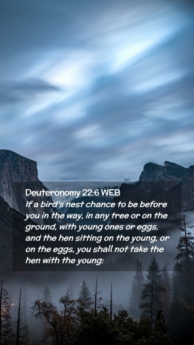 Picture 02 - Deuteronomy 22:6 WEB Mobile Phone Wallpaper - If a bird's nest chance to be before you in the - Mobile Bible Verse Wallpaper