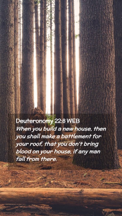Picture 02 - Deuteronomy 22:8 WEB Mobile Phone Wallpaper - When you build a new house, then you shall make a - Mobile Bible Verse Wallpaper