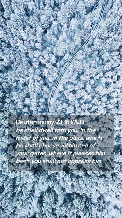 Picture 02 - Deuteronomy 23:16 WEB Mobile Phone Wallpaper - he shall dwell with you, in the midst of you, in - Mobile Bible Verse Wallpaper