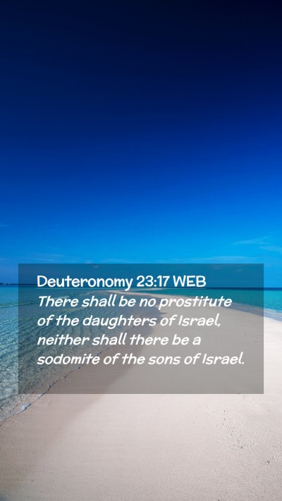 Picture 02 - Deuteronomy 23:17 WEB Mobile Phone Wallpaper - There shall be no prostitute of the daughters of - Mobile Bible Verse Wallpaper
