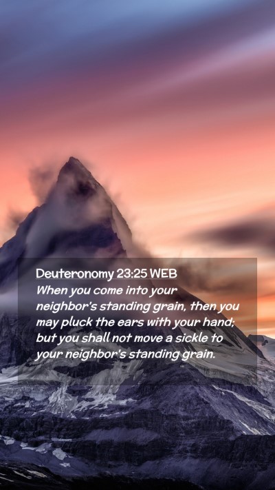 Picture 02 - Deuteronomy 23:25 WEB Mobile Phone Wallpaper - When you come into your neighbor's standing - Mobile Bible Verse Wallpaper