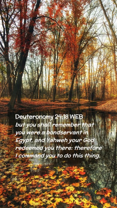 Picture 02 - Deuteronomy 24:18 WEB Mobile Phone Wallpaper - but you shall remember that you were a - Mobile Bible Verse Wallpaper