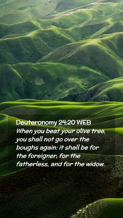 Picture 02 - Deuteronomy 24:20 WEB Mobile Phone Wallpaper - When you beat your olive tree, you shall not go - Mobile Bible Verse Wallpaper