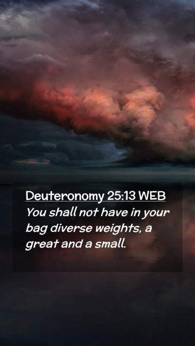 Picture 02 - Deuteronomy 25:13 WEB Mobile Phone Wallpaper - You shall not have in your bag diverse weights, a - Mobile Bible Verse Wallpaper