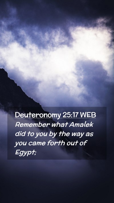 Picture 02 - Deuteronomy 25:17 WEB Mobile Phone Wallpaper - Remember what Amalek did to you by the way as you - Mobile Bible Verse Wallpaper