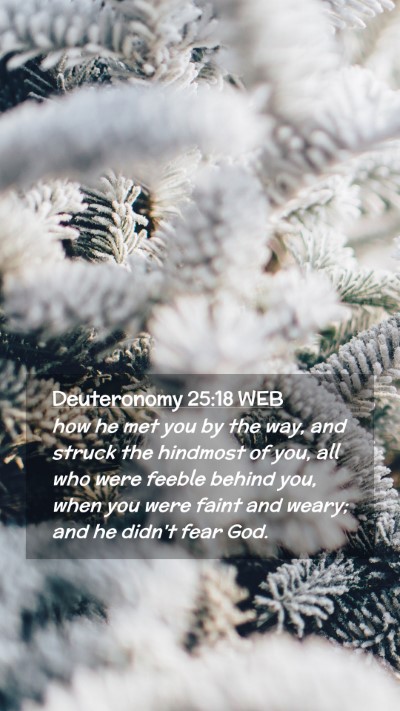 Picture 02 - Deuteronomy 25:18 WEB Mobile Phone Wallpaper - how he met you by the way, and struck the - Mobile Bible Verse Wallpaper
