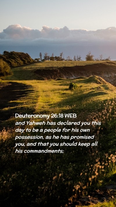 Picture 02 - Deuteronomy 26:18 WEB Mobile Phone Wallpaper - and Yahweh has declared you this day to be a - Mobile Bible Verse Wallpaper