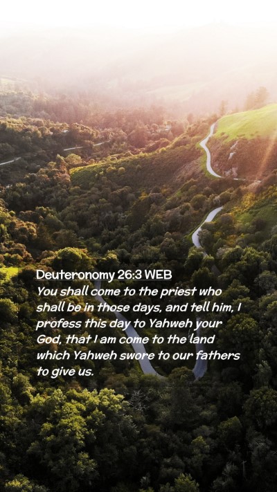 Picture 02 - Deuteronomy 26:3 WEB Mobile Phone Wallpaper - You shall come to the priest who shall be in - Mobile Bible Verse Wallpaper