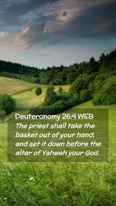 Picture 02 - Deuteronomy 26:4 WEB Mobile Phone Wallpaper - The priest shall take the basket out of your - Mobile Bible Verse Wallpaper