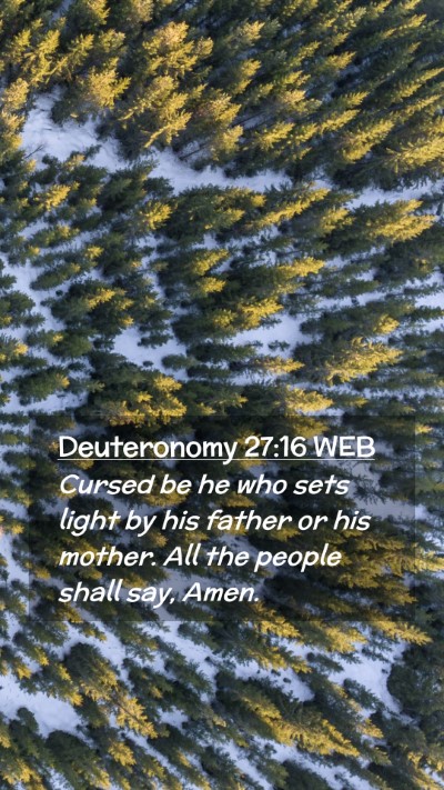 Picture 02 - Deuteronomy 27:16 WEB Mobile Phone Wallpaper - Cursed be he who sets light by his father or his - Mobile Bible Verse Wallpaper