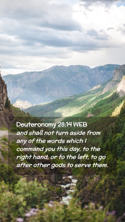 Picture 02 - Deuteronomy 28:14 WEB Mobile Phone Wallpaper - and shall not turn aside from any of the words - Mobile Bible Verse Wallpaper