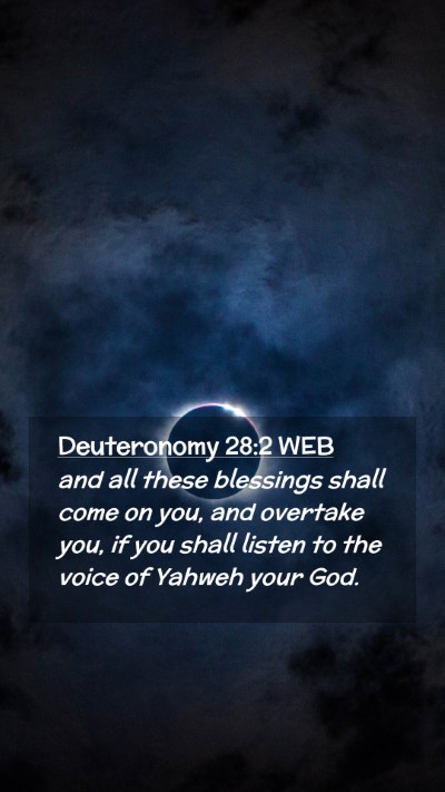 Picture 02 - Deuteronomy 28:2 WEB Mobile Phone Wallpaper - and all these blessings shall come on you, and - Mobile Bible Verse Wallpaper