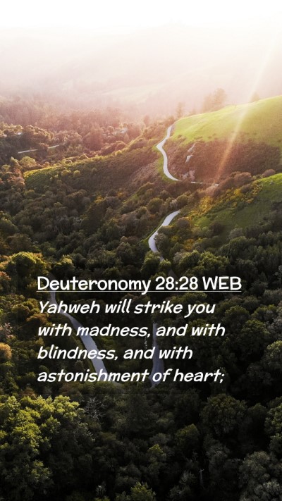 Picture 02 - Deuteronomy 28:28 WEB Mobile Phone Wallpaper - Yahweh will strike you with madness, and with - Mobile Bible Verse Wallpaper