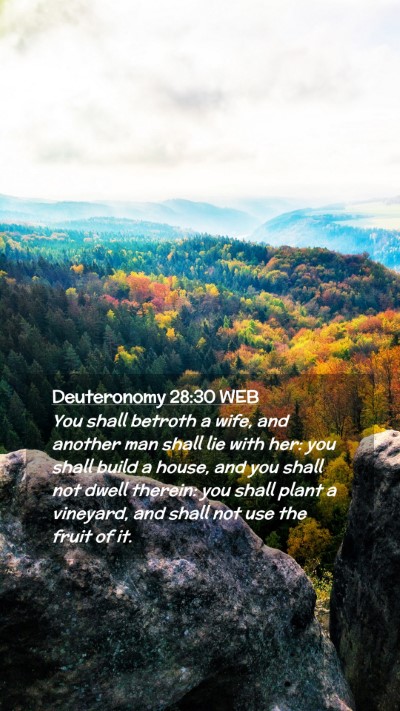 Picture 02 - Deuteronomy 28:30 WEB Mobile Phone Wallpaper - You shall betroth a wife, and another man shall - Mobile Bible Verse Wallpaper