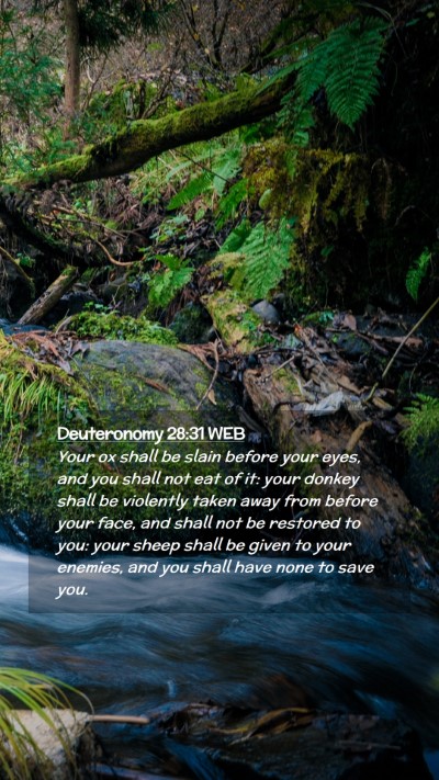Picture 02 - Deuteronomy 28:31 WEB Mobile Phone Wallpaper - Your ox shall be slain before your eyes, and you - Mobile Bible Verse Wallpaper