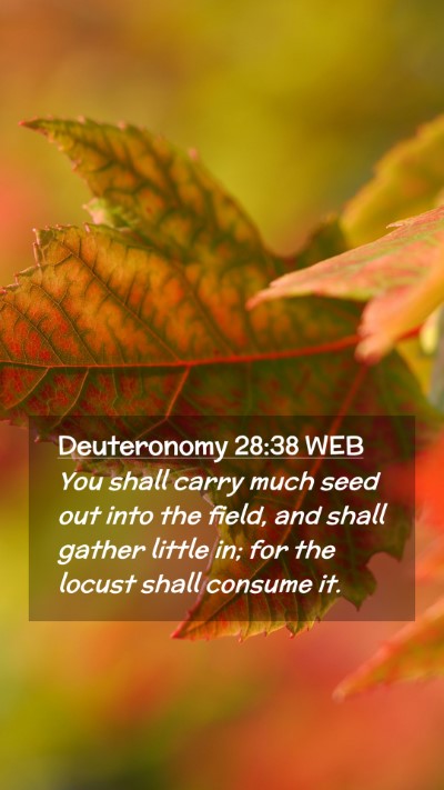 Picture 02 - Deuteronomy 28:38 WEB Mobile Phone Wallpaper - You shall carry much seed out into the field, and - Mobile Bible Verse Wallpaper