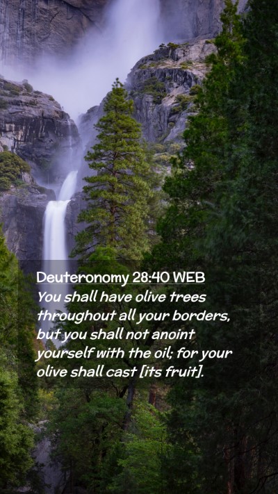 Picture 02 - Deuteronomy 28:40 WEB Mobile Phone Wallpaper - You shall have olive trees throughout all your - Mobile Bible Verse Wallpaper