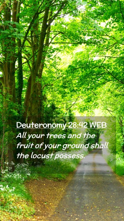 Picture 02 - Deuteronomy 28:42 WEB Mobile Phone Wallpaper - All your trees and the fruit of your ground shall - Mobile Bible Verse Wallpaper