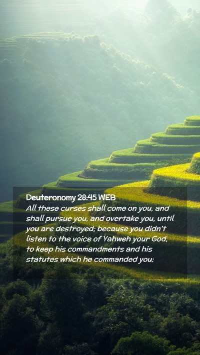 Picture 02 - Deuteronomy 28:45 WEB Mobile Phone Wallpaper - All these curses shall come on you, and shall - Mobile Bible Verse Wallpaper
