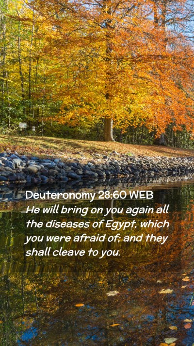 Picture 02 - Deuteronomy 28:60 WEB Mobile Phone Wallpaper - He will bring on you again all the diseases of - Mobile Bible Verse Wallpaper