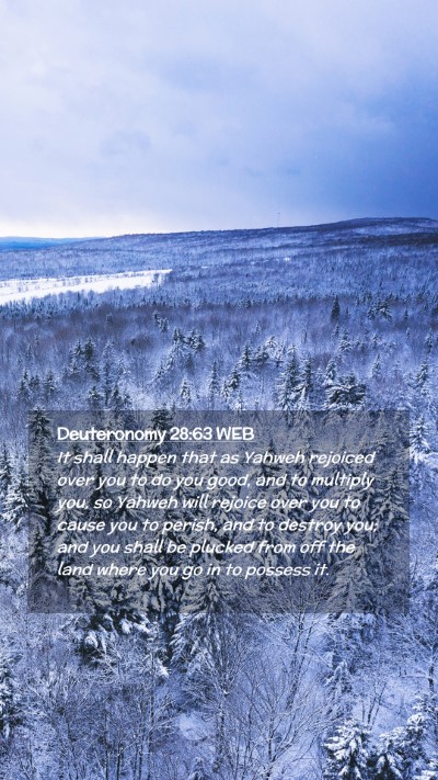 Picture 02 - Deuteronomy 28:63 WEB Mobile Phone Wallpaper - It shall happen that as Yahweh rejoiced over you - Mobile Bible Verse Wallpaper