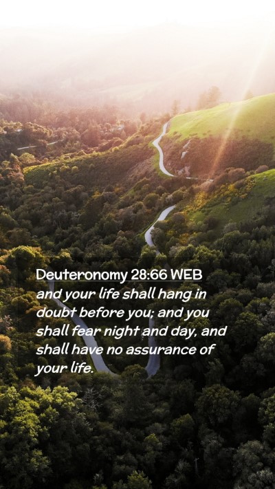 Picture 02 - Deuteronomy 28:66 WEB Mobile Phone Wallpaper - and your life shall hang in doubt before you; and - Mobile Bible Verse Wallpaper