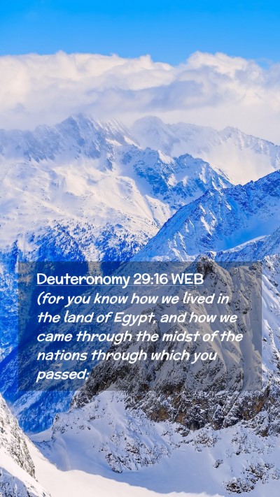 Picture 02 - Deuteronomy 29:16 WEB Mobile Phone Wallpaper - (for you know how we lived in the land of Egypt, - Mobile Bible Verse Wallpaper