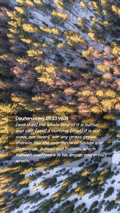 Picture 02 - Deuteronomy 29:23 WEB Mobile Phone Wallpaper - [and that] the whole land of it is sulfur, and - Mobile Bible Verse Wallpaper
