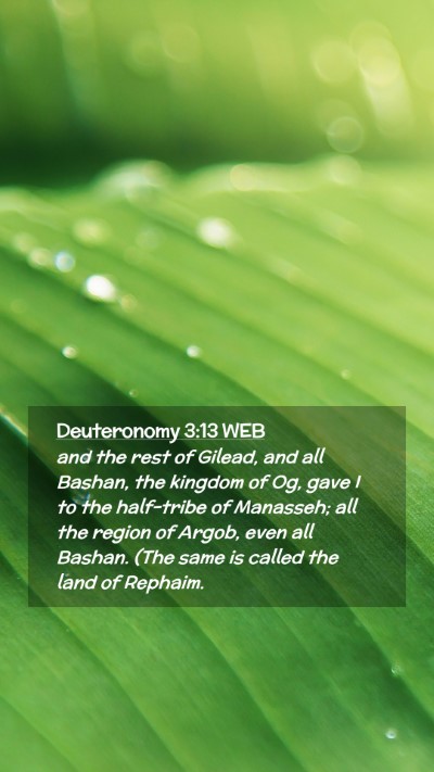 Picture 02 - Deuteronomy 3:13 WEB Mobile Phone Wallpaper - and the rest of Gilead, and all Bashan, the - Mobile Bible Verse Wallpaper
