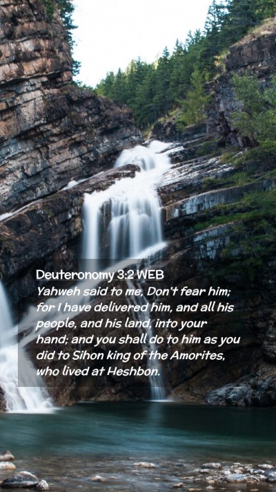 Picture 02 - Deuteronomy 3:2 WEB Mobile Phone Wallpaper - Yahweh said to me, Don't fear him; for I have - Mobile Bible Verse Wallpaper