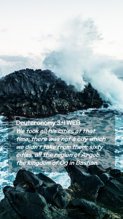 Picture 02 - Deuteronomy 3:4 WEB Mobile Phone Wallpaper - We took all his cities at that time; there was - Mobile Bible Verse Wallpaper