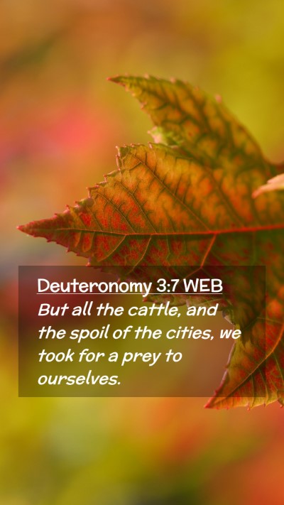 Picture 02 - Deuteronomy 3:7 WEB Mobile Phone Wallpaper - But all the cattle, and the spoil of the cities, - Mobile Bible Verse Wallpaper