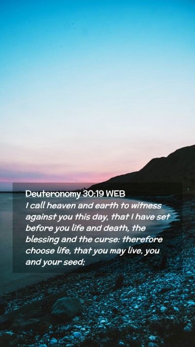 Picture 02 - Deuteronomy 30:19 WEB Mobile Phone Wallpaper - I call heaven and earth to witness against you - Mobile Bible Verse Wallpaper