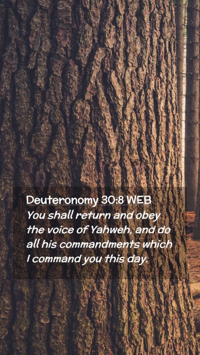 Picture 02 - Deuteronomy 30:8 WEB Mobile Phone Wallpaper - You shall return and obey the voice of Yahweh, - Mobile Bible Verse Wallpaper