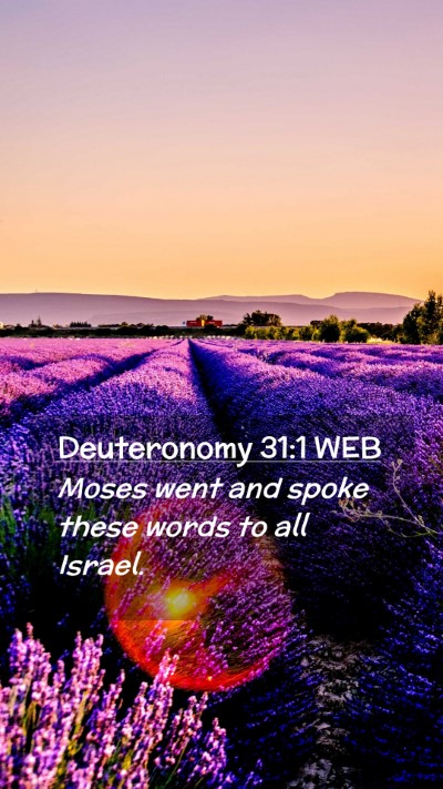 Picture 02 - Deuteronomy 31:1 WEB Mobile Phone Wallpaper - Moses went and spoke these words to all - Mobile Bible Verse Wallpaper