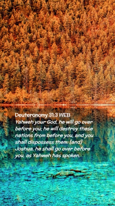Picture 02 - Deuteronomy 31:3 WEB Mobile Phone Wallpaper - Yahweh your God, he will go over before you; he - Mobile Bible Verse Wallpaper