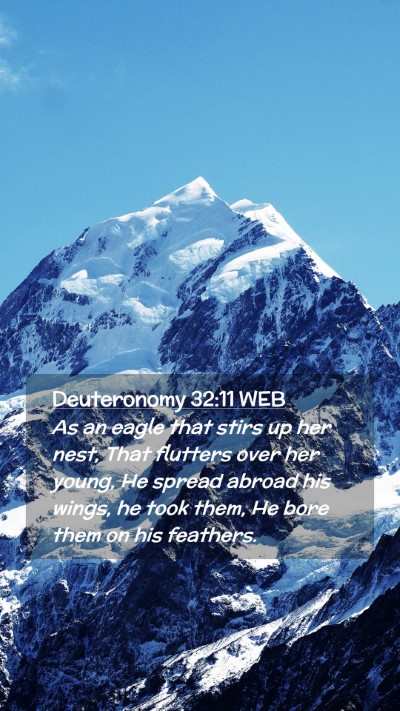 Picture 02 - Deuteronomy 32:11 WEB Mobile Phone Wallpaper - As an eagle that stirs up her nest, That flutters - Mobile Bible Verse Wallpaper