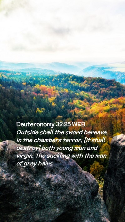 Picture 02 - Deuteronomy 32:25 WEB Mobile Phone Wallpaper - Outside shall the sword bereave, In the chambers - Mobile Bible Verse Wallpaper