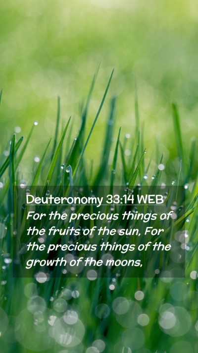 Picture 02 - Deuteronomy 33:14 WEB Mobile Phone Wallpaper - For the precious things of the fruits of the sun, - Mobile Bible Verse Wallpaper