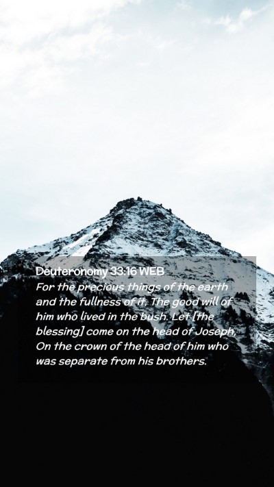 Picture 02 - Deuteronomy 33:16 WEB Mobile Phone Wallpaper - For the precious things of the earth and the - Mobile Bible Verse Wallpaper