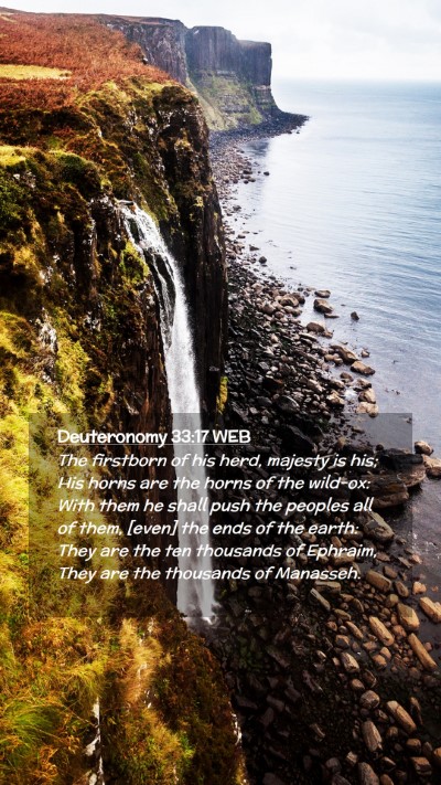 Picture 02 - Deuteronomy 33:17 WEB Mobile Phone Wallpaper - The firstborn of his herd, majesty is his; His - Mobile Bible Verse Wallpaper