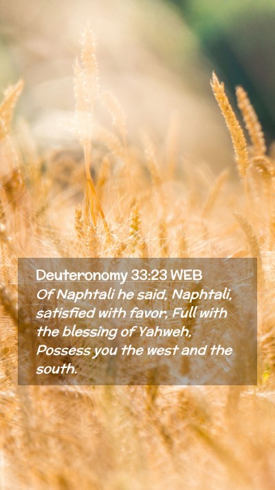 Picture 02 - Deuteronomy 33:23 WEB Mobile Phone Wallpaper - Of Naphtali he said, Naphtali, satisfied with - Mobile Bible Verse Wallpaper