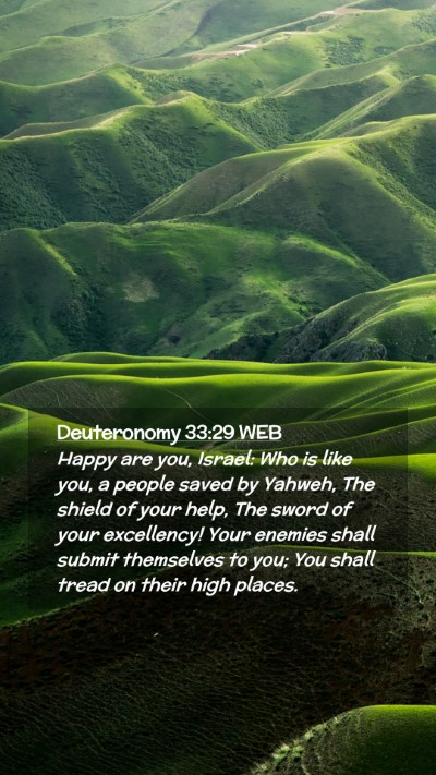 Picture 02 - Deuteronomy 33:29 WEB Mobile Phone Wallpaper - Happy are you, Israel: Who is like you, a people - Mobile Bible Verse Wallpaper
