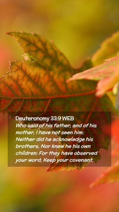 Picture 02 - Deuteronomy 33:9 WEB Mobile Phone Wallpaper - Who said of his father, and of his mother, I have - Mobile Bible Verse Wallpaper